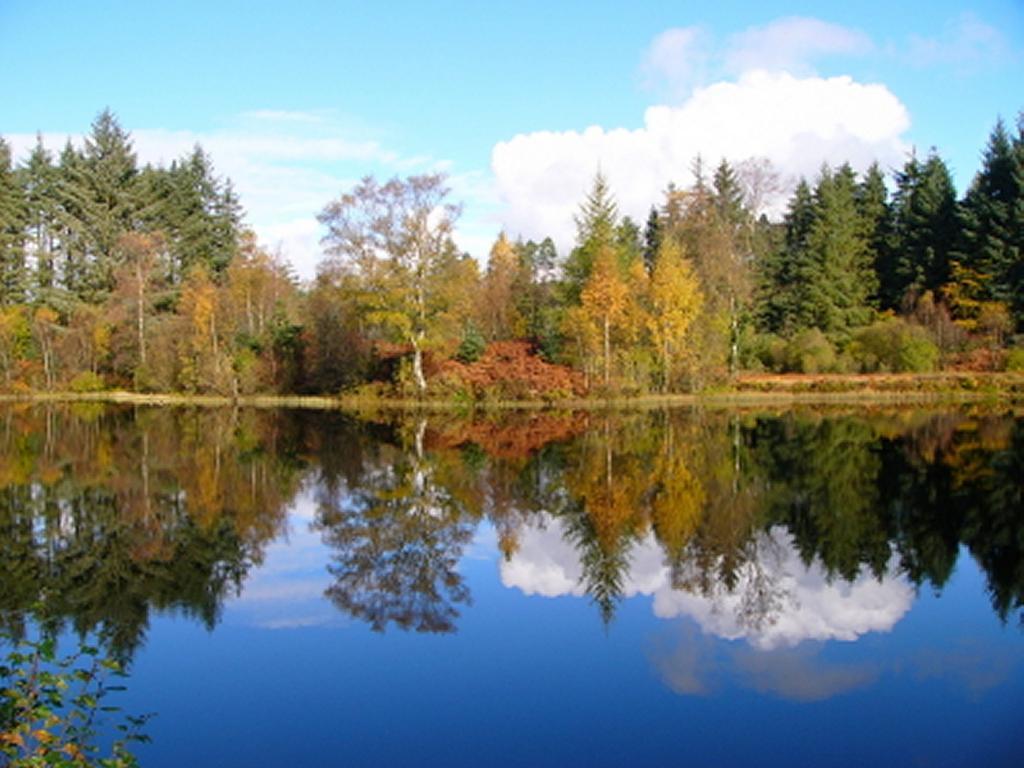 Rosemount Hotel Pitlochry Zewnętrze zdjęcie